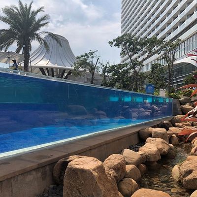 透白性 高光伝送 オーダーメイド大学 地上水泳池