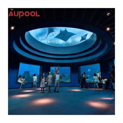 アクリルプール AUPOOL 庭園裏庭 蓋と暖房付きの無限の長泳スパ