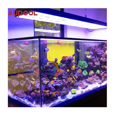 ビラプール AUPOOL スパ 透明なアクリル水泳池のガラス壁のためのプレキシグラスシート