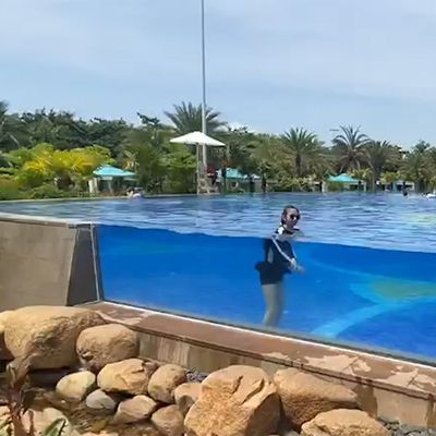 カスタマイズされたアクリルパネル 厚さ カフェ カラー ガラス繊維 裏庭 スカイラップ プール デザイン