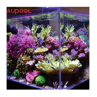 オーダーメイドサイズ プラスチックプールパネル 現代のリハビリトレーニングヴィラ